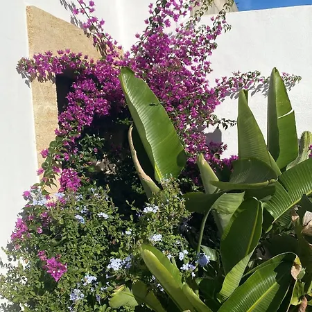 Casa Delle Rondini * Presicce